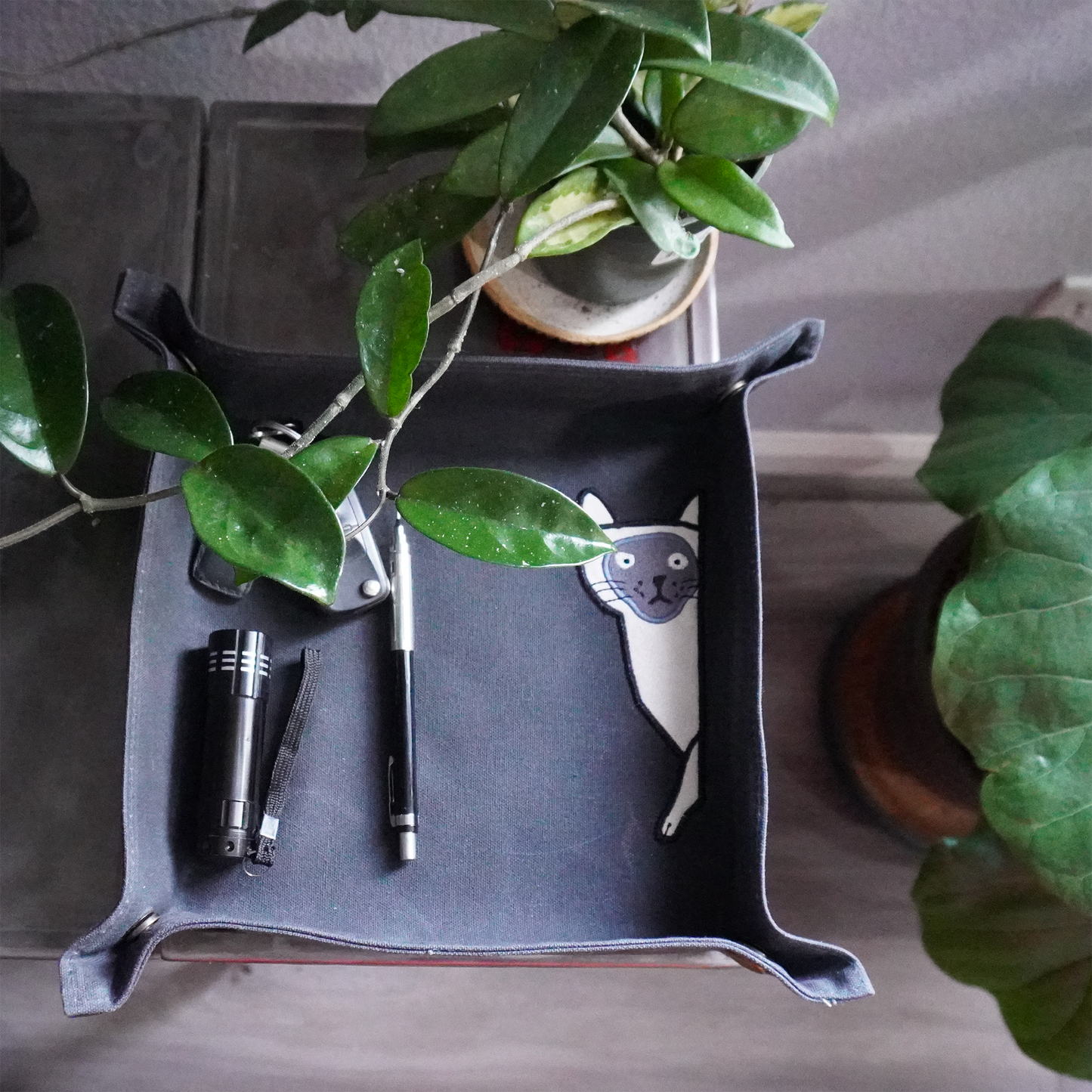 Sneaky Cat Gray Desk Tray – Wax Canvas Organizer